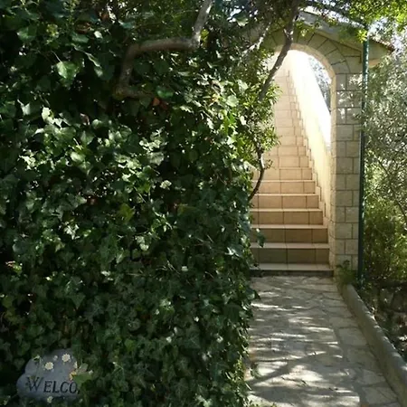 Apartment In Barbat Insel Rab 16210b